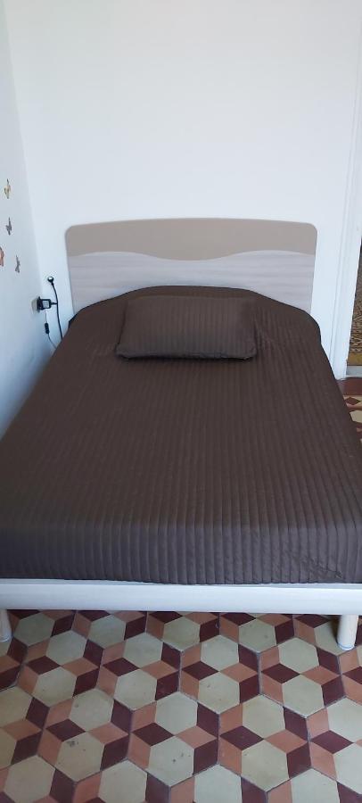 Arena Alfieri Bed & Breakfast Livorno Exterior foto