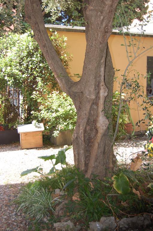 Arena Alfieri Bed & Breakfast Livorno Exterior foto