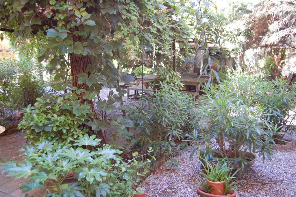 Arena Alfieri Bed & Breakfast Livorno Exterior foto