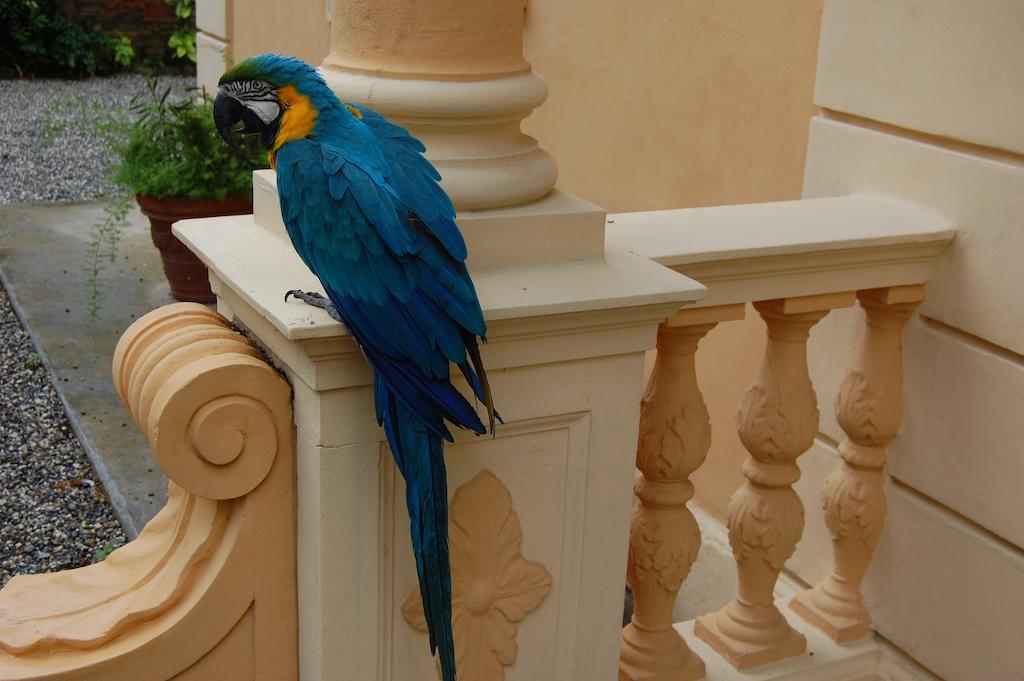 Arena Alfieri Bed & Breakfast Livorno Exterior foto